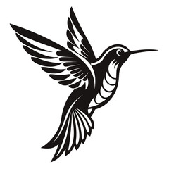 Elegant Hummingbird in Flight Vector Illustration Design
