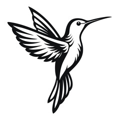 Elegant Hummingbird Illustration A Vector Masterpiece (108).eps