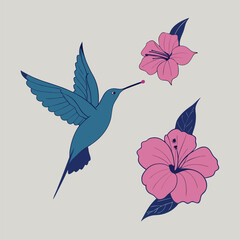 Hummingbird and Hibiscus Flowers Elegant Vector Illustration