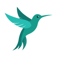 Teal Hummingbird in Flight Vector Illustration (1.213)