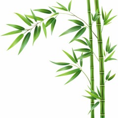 Fototapeta premium Lush Green Bamboo Stems and Leaves in Natural Setting for Tranquil Atmosphere and Eco-Friendly Themes