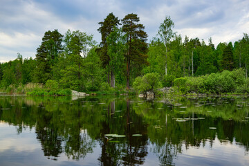 Obraz premium Beautiful forest landscape on the lake shore, reflective tranquility, beauty in nature