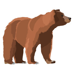 PNG brown bear on four legs illustration sticker, transparent background