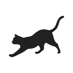 cat on a white background