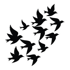 Heart-Shaped Flock A Silhouette of Birds in Flight