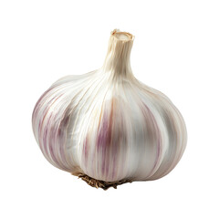 Single garlic bulb high quality realistic image