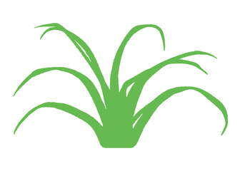 Grass png clipart, semi real digital paint design, transparent background
