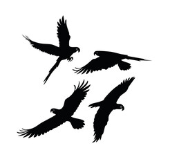 Obraz premium Flying Birds Silhouette Vector Illustration – Black and White Bird Silhouettes in Flight for Nature and Wildlife Design