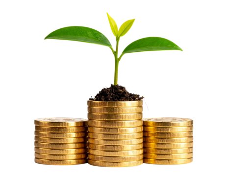  - Small Tree Growing from Stack of Gold Coins, isolated on transparent background. - Powered by Adobe