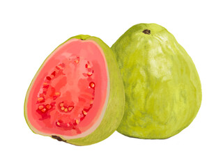 グアバ（1個と断面）