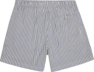 blue striped shirt