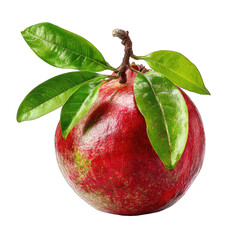 Single pomegranate fruit with leaves