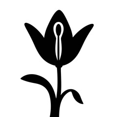 Elegant silhouette of Easter lily flower, black and white design