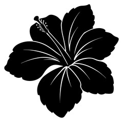 Fototapeta premium Black Hibiscus Flower Silhouette on White Background Detailed Botanical Illustration vector