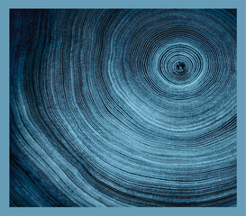 Detailed close-up of a tree ring cross-section, highlighting the intricate growth patterns and the passage of time. Perfect for themes of nature, sustainability, environment.