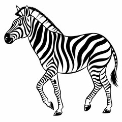 black zibra, isolated on white background perfect outline