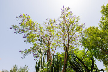 Scenic views of Le Jardin Secret as tourists visit the garden in Marrakech, west Morocco 