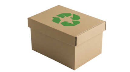 Recycling action urban environment cardboard box eco-friendly concept sustainable living waste management