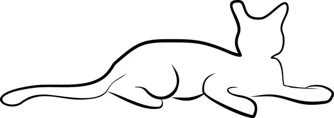 Cat Line Art 