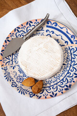 French soft cheeses collection, creamy cow's milk cheese roudou with white mold, France