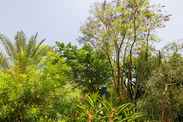 Scenic views of Le Jardin Secret as tourists visit the garden in Marrakech, west Morocco 