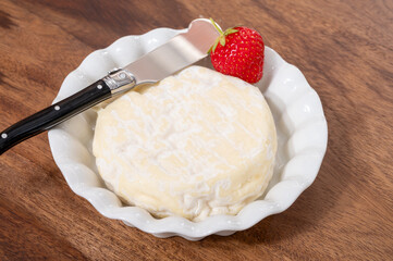 French cheeses collection, Saint-Felicien cow's milk cheese with white mold from Rhone-Alpes region of France