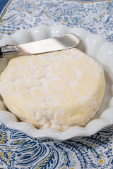 French cheeses collection, Saint-Felicien cow's milk cheese with white mold from Rhone-Alpes region of France