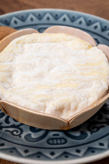 French cheeses collection, Saint-Felicien cow's milk cheese with white mold from Rhone-Alpes region of France