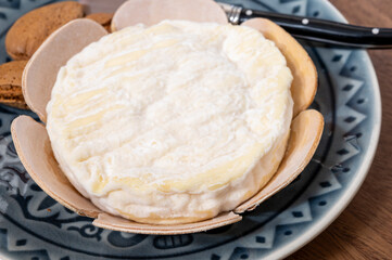 French cheeses collection, Saint-Felicien cow's milk cheese with white mold from Rhone-Alpes region of France
