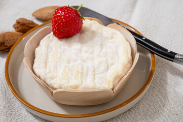 French cheeses collection, Saint-Felicien cow's milk cheese with white mold from Rhone-Alpes region of France