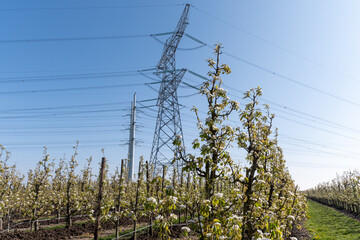 High-voltage lines and power towers, power transmission from nuclear energy plant in Zeeland,...
