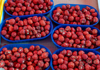 Box of fresh aromatic ripe red wild fragolino strawberries for sale in small town Nemi, Castelli Romani, near Rome, Italy