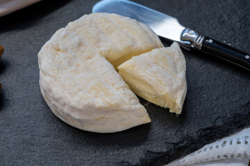 French dauphinois cheeses collection, Saint-Marcellin, creamy Saint- Felicien cow's milk cheese with white mold from Rhône-Alpes region of France