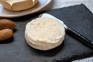 French dauphinois cheeses collection, Saint-Marcellin, creamy Saint- Felicien cow's milk cheese with white mold from Rhône-Alpes region of France