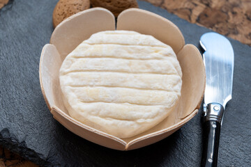 French dauphinois cheeses collection, Saint-Marcellin, creamy Saint- Felicien cow's milk cheese with white mold from Rhône-Alpes region of France