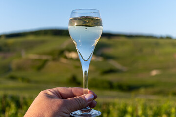 Sunset with glass of white sparkling wine brut, grand reserve, champagne in Ay-Champagne on green hilly vineyards in old wine making village in Vallee de la Marne, Champagne, France