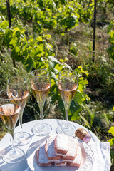 Pouring and tasting of white and rose sparkling wine brut, grand reserve, champagne in Ay-Champagne on green hilly vineyards in old wine making village in Vallee de la Marne, Champagne region, France