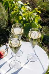 Pouring and tasting of dry sparkling wine brut, grand reserve, champagne in Ay-Champagne on green hilly vineyards in old wine making village in Vallee de la Marne, Champagne region, France
