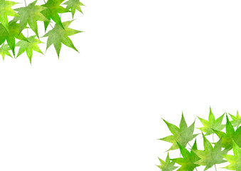 もみじ　緑　水彩　和風　イラスト