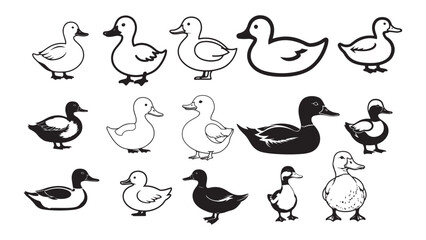 Duck Silhouette Collection Vector Illustration for Wildlife Bird Nature Animal Icon and Decorative Design Concepts