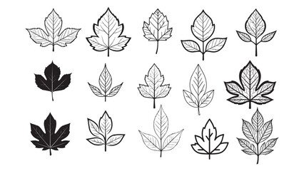 Leaf Silhouette Collection Vector Illustration for Nature Botanical Autumn and Eco Design Concepts

Leaf Silhouette Collection Vector Illustration for Nature Botanical Autumn and Eco Design Concepts