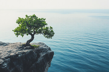 a lone tree sitting on top of a cliff