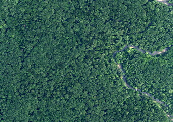 Top View Aerial Photograph