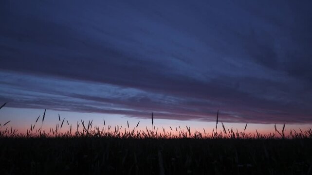 Serene sunset fieldscape with dramatic sky and tall grass silhouette, peaceful dusk atmosphere, natural beauty, outdoor landscape