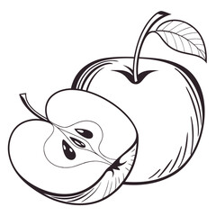  silhouette apple on white background