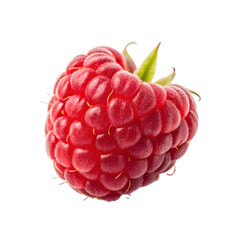 raspberry fruit on transparent background
