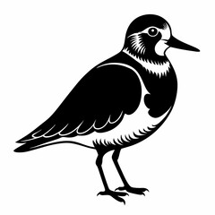 Ruddy Turnstone vector black silhouette on white background