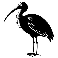 Roseate Spoonbill vector black silhouette on white background
