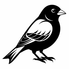 Indigo Bunting vector black silhouette on white background
