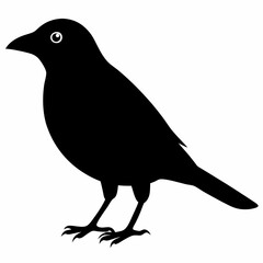 Brown-headed Cowbird vector black silhouette on white background